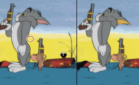 Tom en Jerry Verschillen